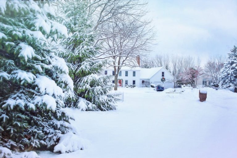 snow covered house and trees